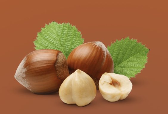 Haselnüsse mit Blättern auf braunem Hintergrund.