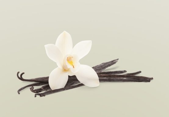 Eine weiße Orchidee liegt neben mehreren Vanilleschoten auf einem hellen Hintergrund.